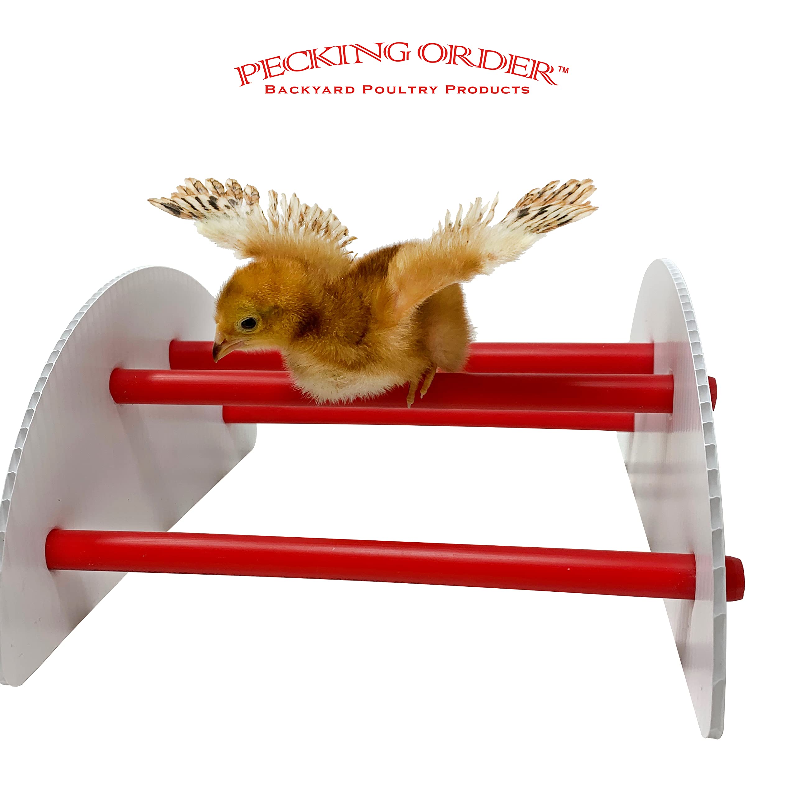 Pecking Order 9590 N-Play Chick brooder Accessory, Red