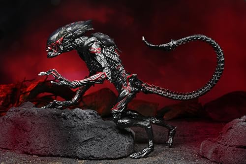 NECA - Aliens - Kenner Night Cougar - 7" Action Figure