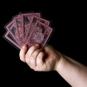 Waterproof Playing Card Deck with Jokers - 54 Clear Plastic Cards, Poker Size, Standard Index - Durable, Washable and Easily Portable - Flexible, Smooth Shuffling - Hard Plastic Carrying Case Included