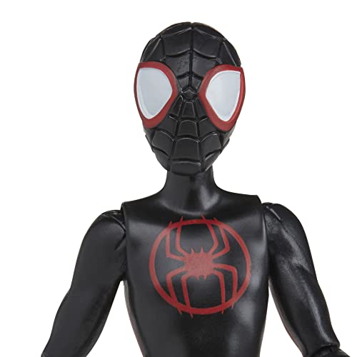 Marvel Spider-Man Across The Spider-Verse Miles Morales, 6-Inch-Scale Action Figure with Web Accessory, Toys for Kids Ages 4 and Up