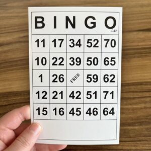 SEETOOOGAMES Bingo Game Cards Sheets - Paper Bingo Cards Bulk Reusable - Bingo Set for Adults, Family, Party, Large Groups - Pack of 120