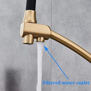 YJRIC Kitchen fau cet Uythner Kitchen Purification Flexible Rotated Kitchen Faucet Dual Spout Dual Handles Mixer Tap Hot and Cold Pure Water Mixer,Antique Bronze