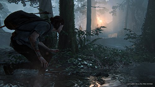 The Last of Us Part II - PlayStation 4 (Renewed)