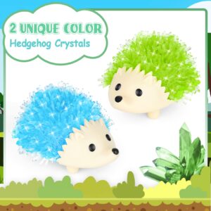 sdaymol Crystal Growing Kit for Kids - 2 Colors Hedgehog to Grow Fast in (24H),Science Experiments Learning & Educational Toys,Science Kits for Kids Age 8-12 STEM Project Gifts for Boys & Girls 6+