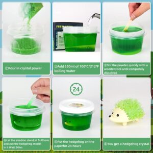 sdaymol Crystal Growing Kit for Kids - 2 Colors Hedgehog to Grow Fast in (24H),Science Experiments Learning & Educational Toys,Science Kits for Kids Age 8-12 STEM Project Gifts for Boys & Girls 6+