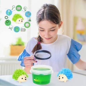 sdaymol Crystal Growing Kit for Kids - 2 Colors Hedgehog to Grow Fast in (24H),Science Experiments Learning & Educational Toys,Science Kits for Kids Age 8-12 STEM Project Gifts for Boys & Girls 6+