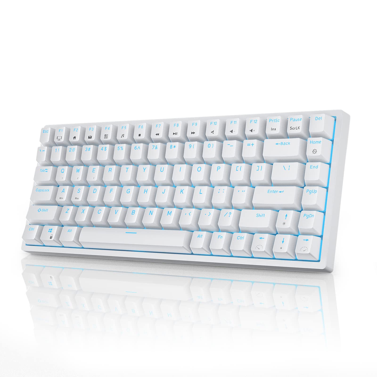 RK ROYAL KLUDGE RK84 Wireless Blue Backlit 75% Triple Mode BT5.0/2.4G/USB-C Hot Swappable Mechanical Keyboard, 84 Keys Tenkeyless Mechanical Keyboard w/Programmable Software, Blue Switch