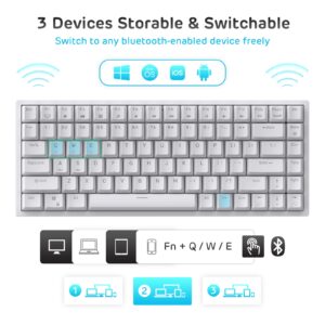 RK ROYAL KLUDGE RK84 Wireless Blue Backlit 75% Triple Mode BT5.0/2.4G/USB-C Hot Swappable Mechanical Keyboard, 84 Keys Tenkeyless Mechanical Keyboard w/Programmable Software, Blue Switch