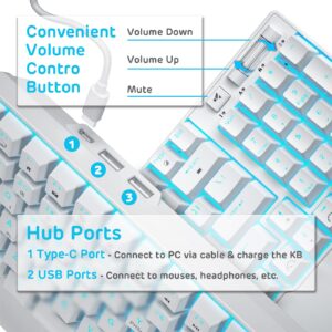 RK ROYAL KLUDGE RK96 90% Triple Mode BT5.0/2.4G/USB-C Hot Swappable Mechanical Keyboard with Magnetic Wrist Rest, 96 Keys Wireless Gaming Keyboard with Software, Blue Backlight