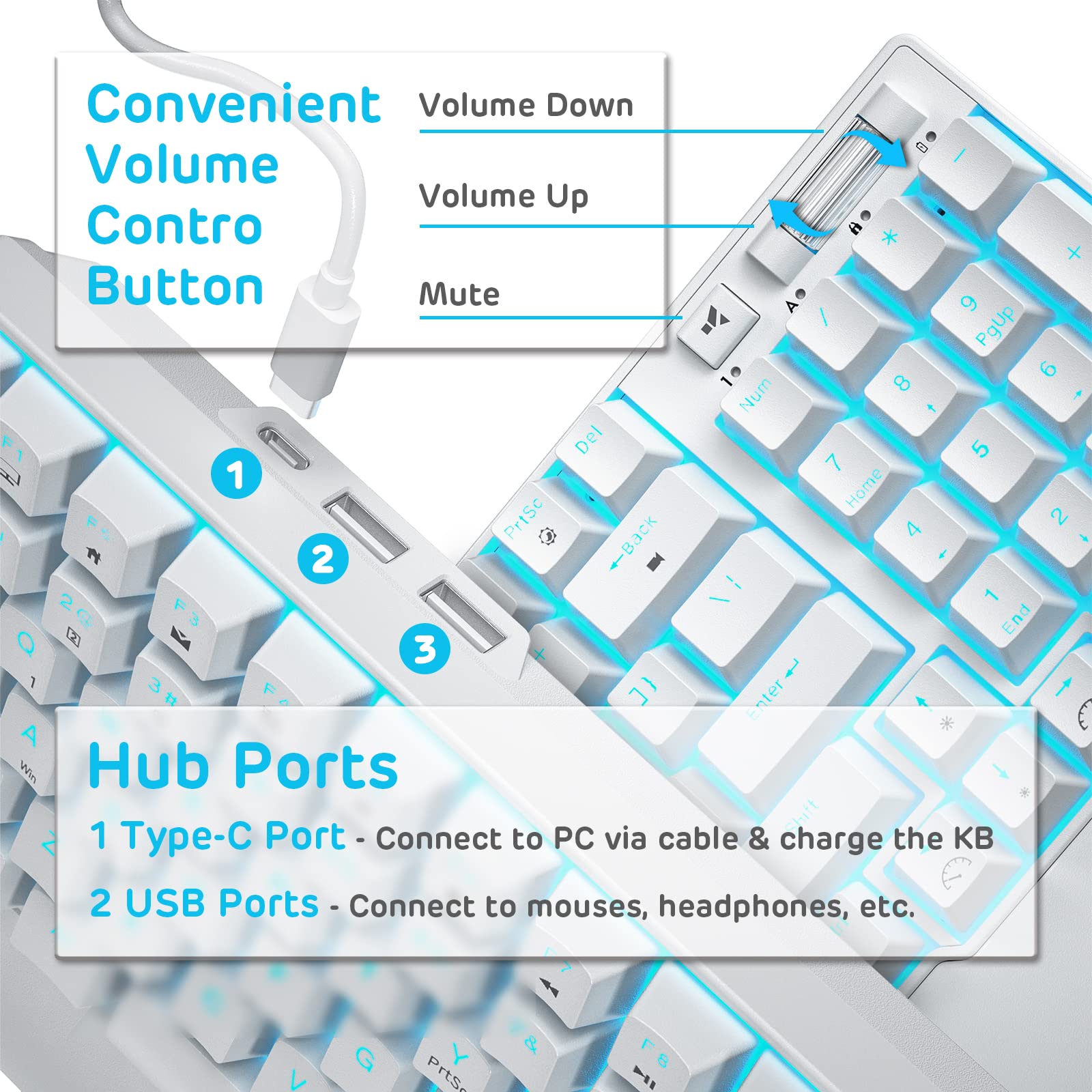 RK ROYAL KLUDGE RK96 90% Triple Mode BT5.0/2.4G/USB-C Hot Swappable Mechanical Keyboard with Magnetic Wrist Rest, 96 Keys Wireless Gaming Keyboard with Software, Blue Backlight