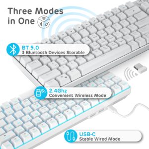 RK ROYAL KLUDGE RK96 90% Triple Mode BT5.0/2.4G/USB-C Hot Swappable Mechanical Keyboard with Magnetic Wrist Rest, 96 Keys Wireless Gaming Keyboard with Software, Blue Backlight