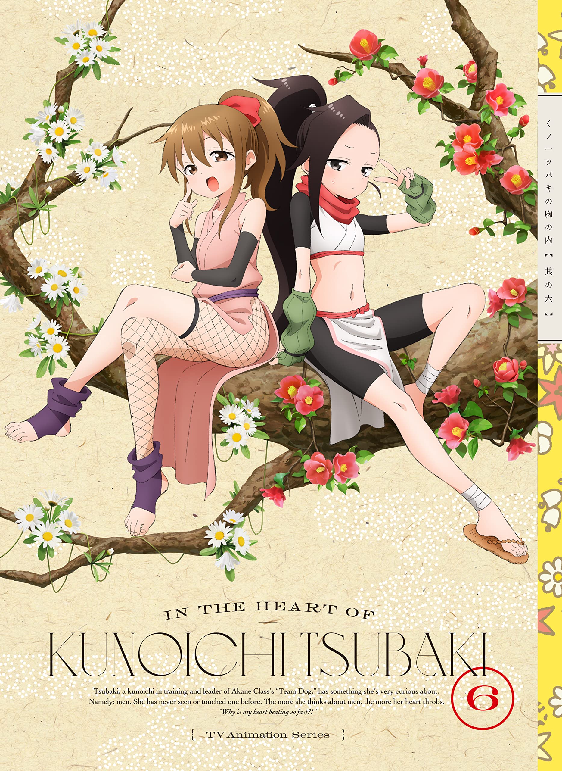 Kunoichi Tsubaki Chest 6 (Complete Production Limited Edition) (DVD)