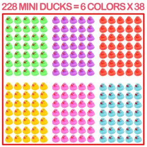 228-Pack Mini Rubber Ducks Set, Mini Colorful Rubber Duckies Bath Toy for Child,Float & Squeak Tiny Ducks Pool Toy Set for Kids Party Favors,Birthday Party Supplies,Prize Rewards