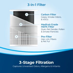 BISSELL air280 and air280 max Replacement filter