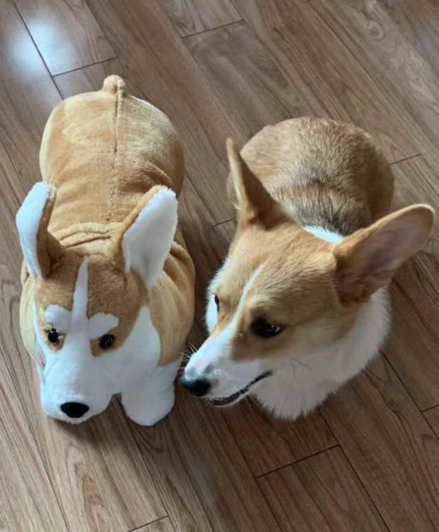 Corgi Dog 20 Inch Realistic Lifelike Louie Welsh Corgi Dog Plush Stuffed Animal Pet Dog Huggle Furry Corky