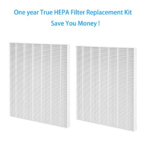 2 Pack True HEPA D4 Replacement Filters Compatible with Winix D480 Air Purifier, Item Number 1712-0100-00, Filter D4