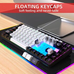 Snpurdiri 75 Percent Wired Gaming Keyboard, Mini Gaming Keyboard RGB Compact Ergonomic for Windows, PC, Laptop, Gaming (84 Keys, White-Black)