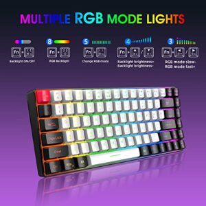 Snpurdiri 75 Percent Wired Gaming Keyboard, Mini Gaming Keyboard RGB Compact Ergonomic for Windows, PC, Laptop, Gaming (84 Keys, White-Black)