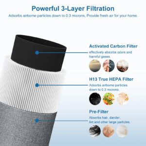 NXBHG Blue Air Filter Replacement 411 Compatible with Blueair Blue Pure 411 Genuine, Blue Pure 411+,411 Auto & Mini, 3 Pack HEPA Particle and Activated Carbon Filter (3 Pack HEPA Filter)