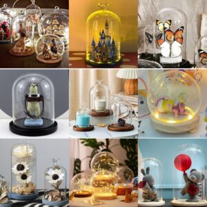 PH PandaHall Glass Display Showcase with Base Decorative Display Dome Miniature Case Snowglobe for Fairy Lights Plants Flower Craft Crown Display Crystal Beach Christmas Halloween Decoration 3x4inch