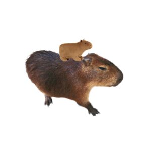 Marble Empire Capybara Stuffed Animal Plush,Capybara Plushie Small Cute Toy Gifts,7.8 Inch