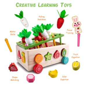 Achiyway Montessori Toys for Baby Boys Girls Age 2 3 4 5 Year Old, Wood Preschool Learning Fine Motor Skills Game, Baby Educational Toddler Toys (Fruits Games)