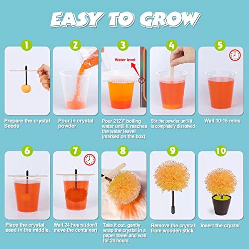 SOLMOD Crystal Growing Kit - Grow 5 Vibrant Crystals Fast (24 Hours), Easy DIY Science Kit and STEM Toys for Kids, A Great Educational Gift for Boys Girls Age 6+