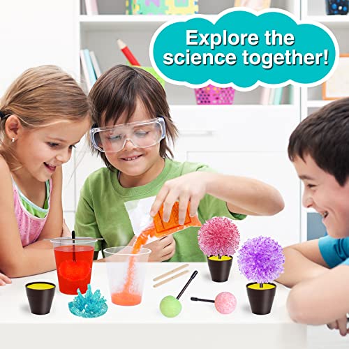 SOLMOD Crystal Growing Kit - Grow 5 Vibrant Crystals Fast (24 Hours), Easy DIY Science Kit and STEM Toys for Kids, A Great Educational Gift for Boys Girls Age 6+