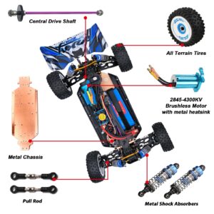 CKYSCHN WLtoys 124017(V2) Fast RC Car, 1/12 Brushless RC Car, 75km/h 4x4 Hobby RC Buggy Cars with Independent ESC for Adults, Fast Remote Control Truck Car with 2 Battery