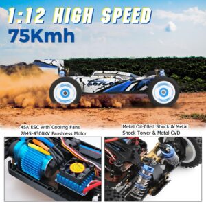 CKYSCHN WLtoys 124017(V2) Fast RC Car, 1/12 Brushless RC Car, 75km/h 4x4 Hobby RC Buggy Cars with Independent ESC for Adults, Fast Remote Control Truck Car with 2 Battery