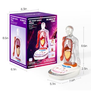 Science Can Human Body Model for Kids, Interactive Human Anatomy Talking Model - 11 Inch Realistic Anatomical Assembly Kit 15PCS Removable Parts and Guide STEM Educational Toys for Kids Aged 6+ Gifts