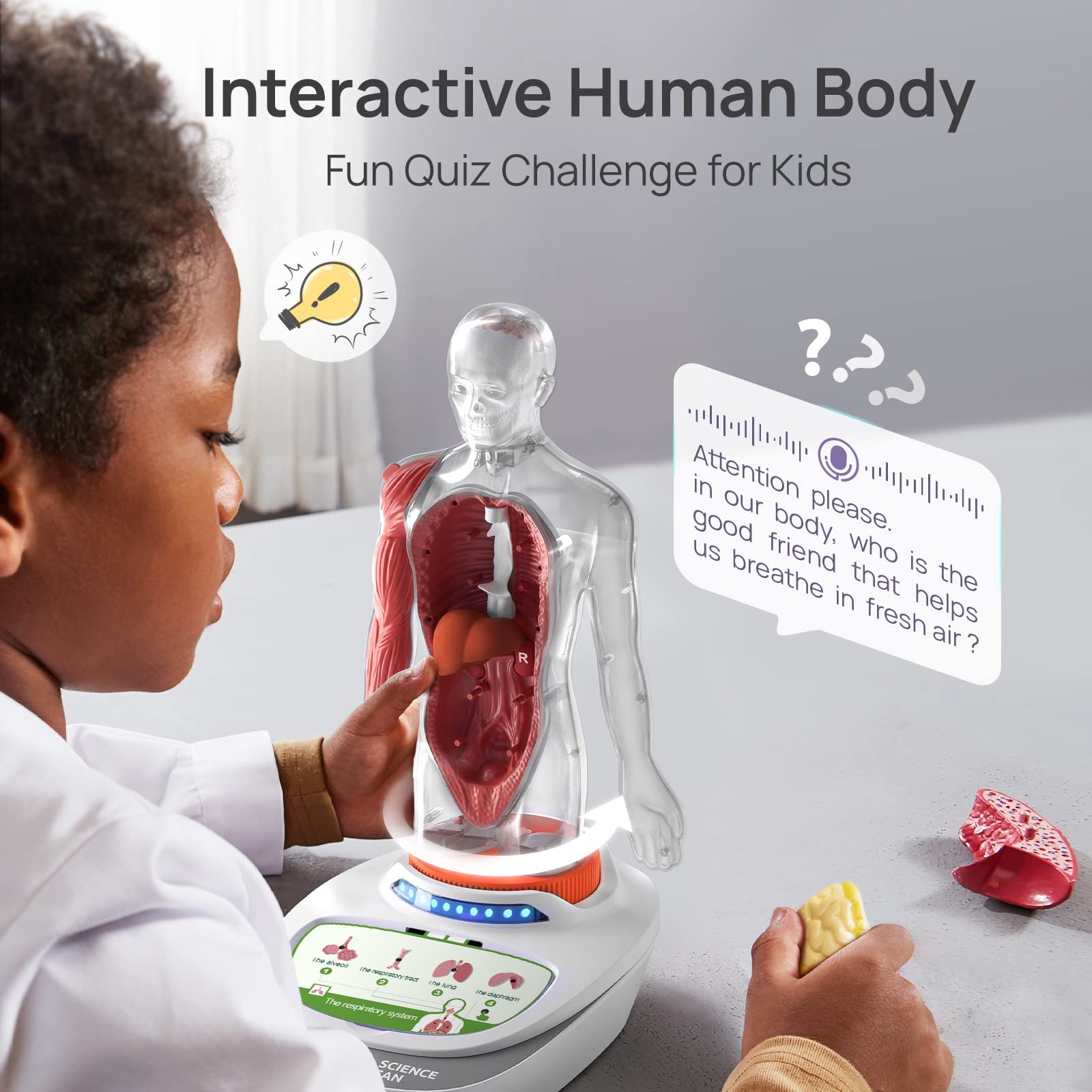 Science Can Human Body Model for Kids, Interactive Human Anatomy Talking Model - 11 Inch Realistic Anatomical Assembly Kit 15PCS Removable Parts and Guide STEM Educational Toys for Kids Aged 6+ Gifts