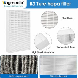 6 Pack HPA300 Hepa Filter Replacement Compatible With Honeywell HPA300, HPA200, HPA100, HPA090 Series and HPA5300 Air Purifier, H13 True HEPA Replacement,Filter R (HRF-R3 & HRF-R2 & HRF-R1)