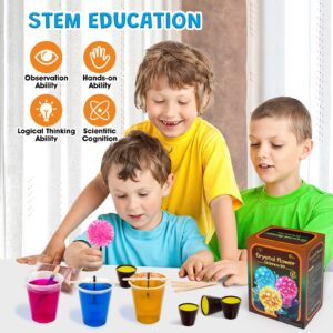 GobiDex Crystal Growing Kit, Science Kits for Kids Age 8-12, Grow Fast in (24H) Science Experiments Lab Toys, DIY STEM Projects Learning & Educational Toys, Crafts Gift Boys & Girls Ages 6 7 8 9 10 12