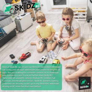 Skidz RC Helicopter for Kids, Remote Control Helicopter; with Gyro Stabilizer, Lights 2 Channel Aircraft 3D Flight, Boys Ages 8-14 Years Girls 9-16, Indoor and Outdoor for Plane Fans Adults (Red)