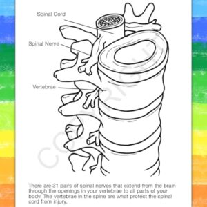 ZoCo - A Visit to The Chiropractor's Office - Educational Coloring Books (50 Bulk Pack, Without Crayons) - Chiropractor Supplies - Activities for Kids