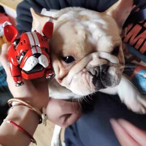 YAGIS-S Mechanical Dog Collectibles, 6.1'' Bulldog Robot Action Figure, Mechanical Beast, Puppy Toys, Car Decoration 15+