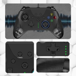 GCHT GAMING SP1048 Wired PC Gaming Controller with Paddles/Hall Joysticks/Hall Triggers/RGB Lighting, Work for Windows PC, Android, Steam and Switch (Black)