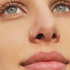 Longita Fake Nose Ring Fake Nose Piercing Magnetic Nose Ring Fake Nose Rings Hoop Clip on Nose Ring Faux Nose Rings for Women Fake Nose Stud Fake Lip Ring Magnetic Nose Stud