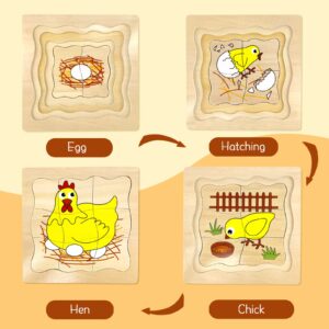 Montessori Wooden Puzzles for Kids Ages 4-8, 4 Layer Life Cycle Jigsaw Puzzle for Toddlers, Children Preschool Learning Educational Puzzles Toys for Boys and Girls (Chicken)