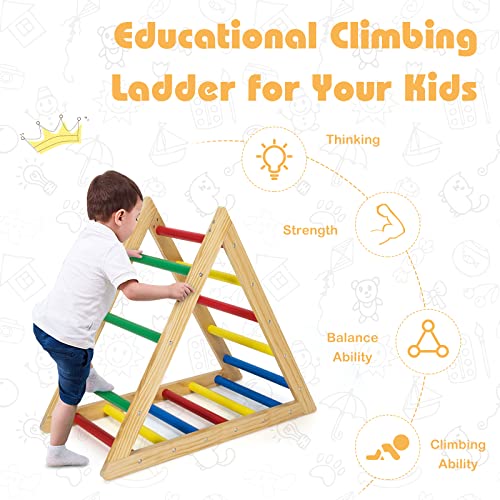 HONEY JOY Triangle Climber, Kids Wooden Climbing Triangle Ladder, 3 Different Climbing Ladders, Indoor Climbing Toys for Playground, Gym & Daycare, Gift for Boys Girls 3+ (Colorful)