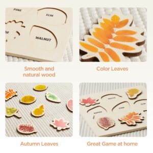 Asweets Leaf Wooden Jigsaw Puzzles Educational Learning Leaf Puzzle Montessori Toy Boys Girls Birthday Gift Colorful Shape for Thanksgiving Day