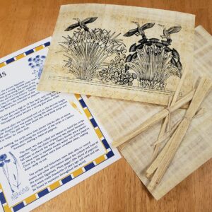 Discoveries Egyptian Imports Papyrus Activity Kit - Educational Papyrus Paper Craft Kit - Made in Egypt