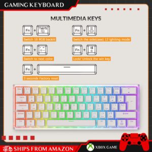 ZIYOU LANG MK25-1 60% Mechanical Keyboard Custom Hot Swappable Gaming Keyboard Programmable w/RGB Backlit Transparent Case Pudding Keycaps NKRO Compact for Gamer Typist PC PS4 Xbox（Linear Red Switch）