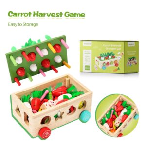 Montessori Toys for Toddlers, Rundad Wooden Carrot Pulling Baby Toy, Learning & Educational Shape Sorter for Fine Motor Skills, Birthday Gift for 3+ Year Old Boy Girl