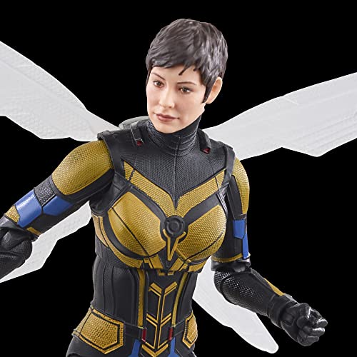 Marvel Legends Series Wasp, Ant-Man & The Wasp: Quantumania Collectible 6-Inch Action Figures, Ages 4 and Up