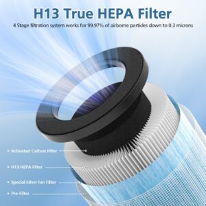 Caehomly Official MJ002H Replacement Filter Compatible with POMORON MJ002H Air Puri-Fier, H13 True Hepa Filter, Activated Carbon, Multi-Layer Filter, Compare Part MJ002H-RF, 2 Pack