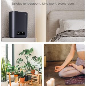 Humidifiers for Bedroom, 6L Top Fill Cool Mist Humidifiers for Large Room for Plants,TABYIK Air humidifier with Humidistat and Timer, with Essential Oil Diffuser Quiet for Home Black