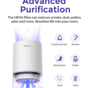 ROSEKM 1-Year Pack Air Purifier Replacement Filter for AP001R, True HEPA Filter, 4 Pack