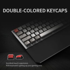 Hexgears PowerBlade X1 Pro Wireless Mechanical Keyboard, 3-Mode Connectivity, 65% Gaming Keyboard, Double-Shot PBT Pudding Keycaps, Hot-Swappable Kailh Box Switches, N-Key Rollover, Wrist Rest